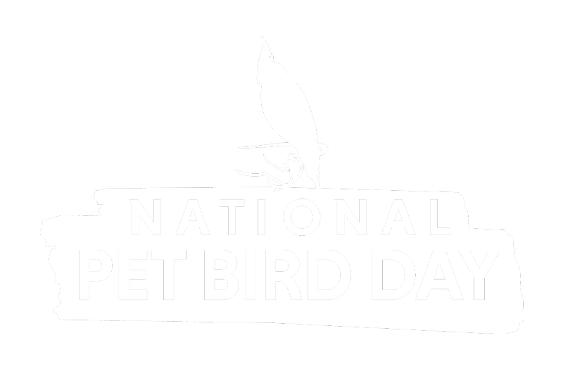 National Pet Bird Day